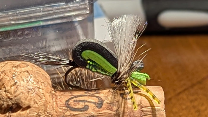 Grillos Hippie Stomper