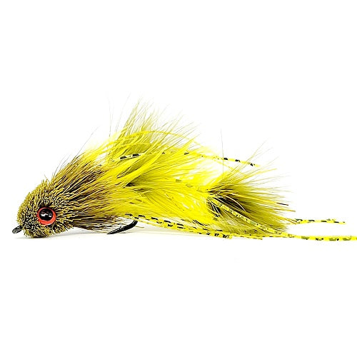 SEX DUNGEON - OLIVE/YELLOW