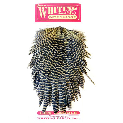 WHITING HEN SADDLE