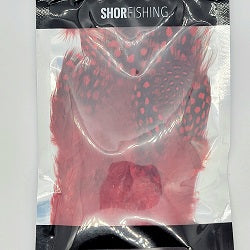 SHOR - GUINEAFOWL STRUNG