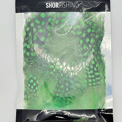 SHOR - GUINEAFOWL STRUNG