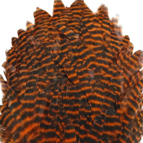 SHOR - GENETIC HEN SADDLE