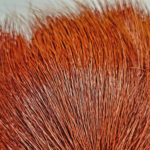 SHOR - DEER BODY DYED