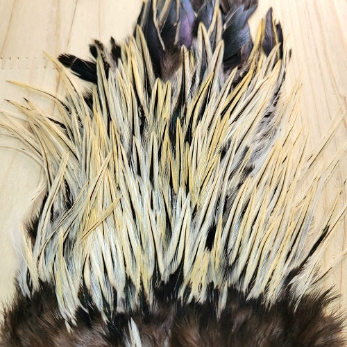 SHOR - ROOSTER SADDLE