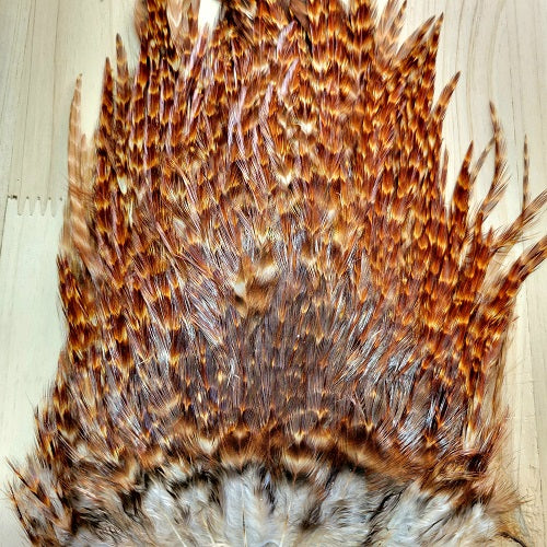 SHOR - ROOSTER SADDLE
