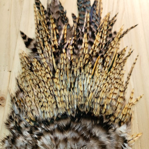 SHOR - ROOSTER SADDLE