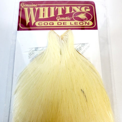 WHITING - COQ DE LEON CAPE