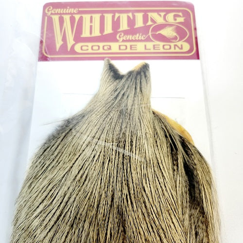 WHITING - COQ DE LEON CAPE