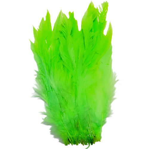 SHOR - SCHLAPPEN