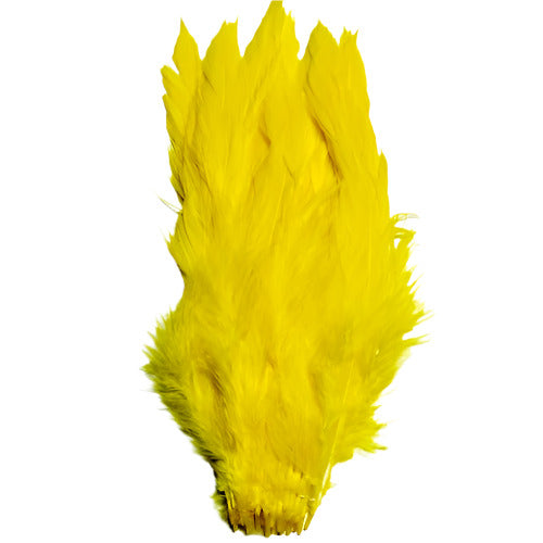SHOR - SCHLAPPEN