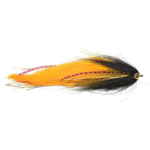PIKE ROTTEN CARROT