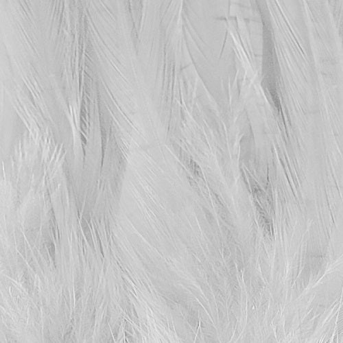 SHOR - HACKLE 6''-8''