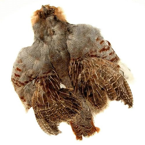 SHOR - ENGLISH PARTRIDGE SKIN