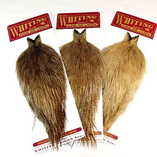 WHITING - COQ DE LEON CAPE
