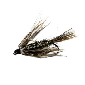 Carey Special