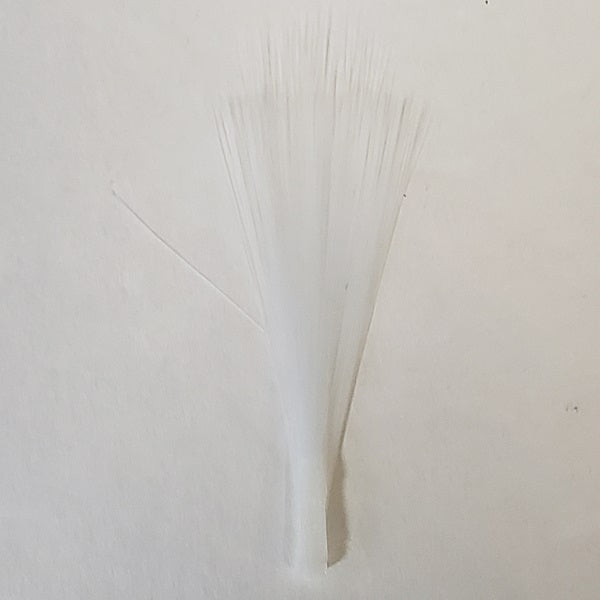 Betts Tailing Fibers