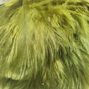 Wooly Bugger Marabou
