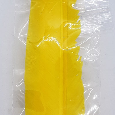 TURKEY BIOT QUILLS