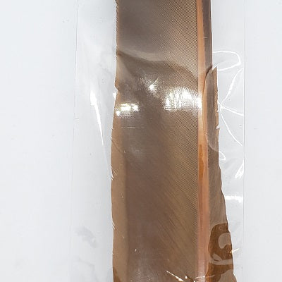 TURKEY BIOT QUILLS