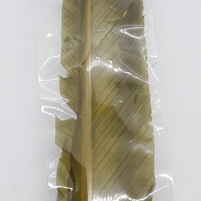 TURKEY BIOT QUILLS