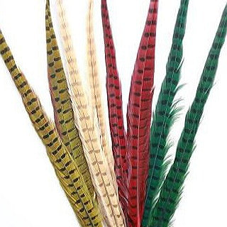 SHOR - RINGNECK PHEASANT TAIL