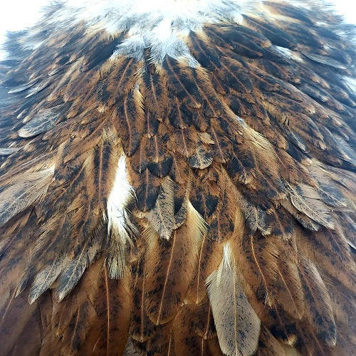 WHITING HERBERT-MINER HEN CAPE AND SADDLE