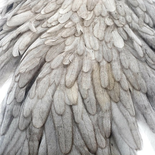 WHITING HERBERT-MINER HEN CAPE AND SADDLE