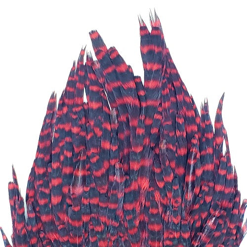 SHOR - GENETIC HEN SADDLE