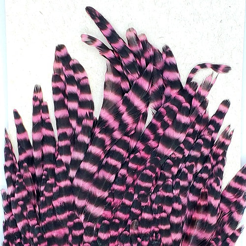 SHOR - GENETIC HEN SADDLE