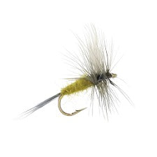 BLUE WING OLIVE