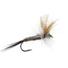 HENDRICKSON DARK