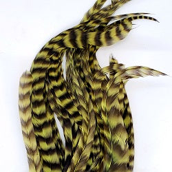 WHITING SCHLAPPEN BUNDLE 10" - 14''
