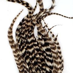 WHITING SCHLAPPEN BUNDLE 10" - 14''