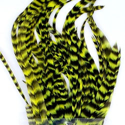 WHITING SCHLAPPEN BUNDLE 10" - 14''