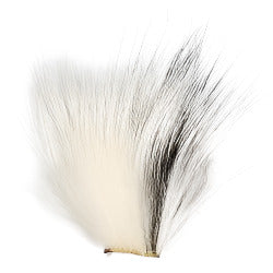 SHOR - ARCTIC FOX