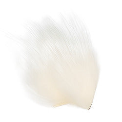 SHOR - ARCTIC FOX