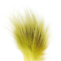 SHOR - ARCTIC FOX