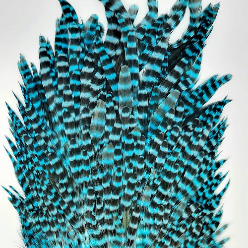 SHOR - GENETIC HEN SADDLE