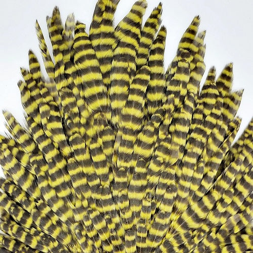 SHOR - GENETIC HEN SADDLE