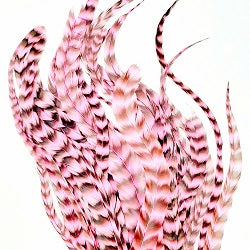 WHITING SCHLAPPEN BUNDLE 10" - 14''