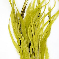 WHITING SCHLAPPEN BUNDLE 10" - 14''