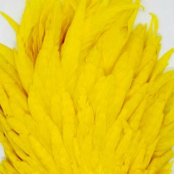 SHOR - GENETIC HEN SADDLE