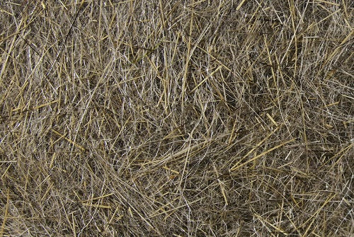 HARELINE - HARE'S EAR PLUS