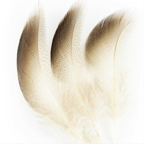 SHOR - BRONZE MALLARD SHOULDER