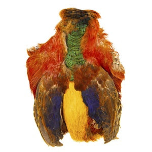 Golden Pheasant Skin