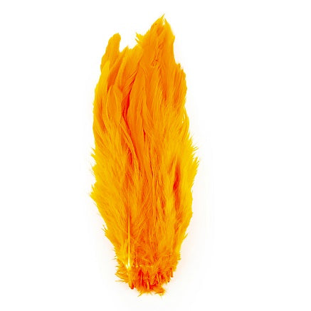 SHOR - SCHLAPPEN