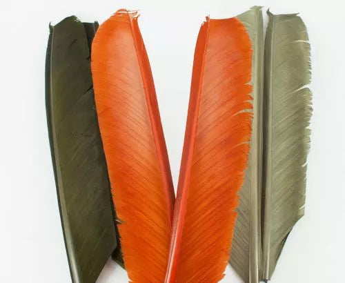 TURKEY BIOT QUILLS