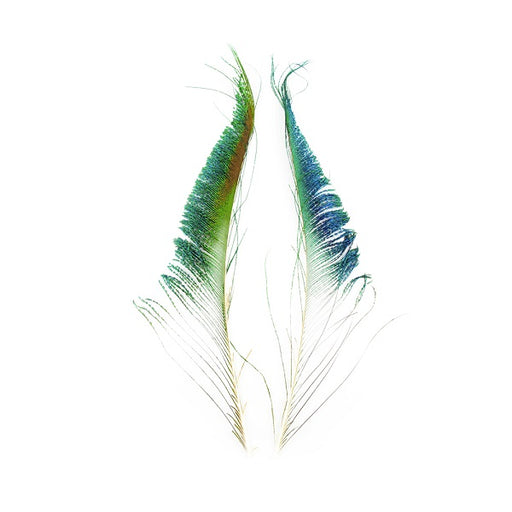 PEACOCK SWORDS (NOT PAIRED)