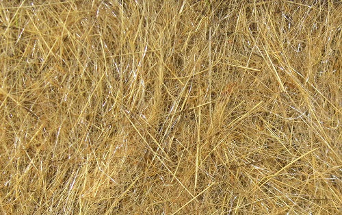 HARELINE - HARE'S EAR PLUS