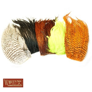 WHITING BUGGER PACK